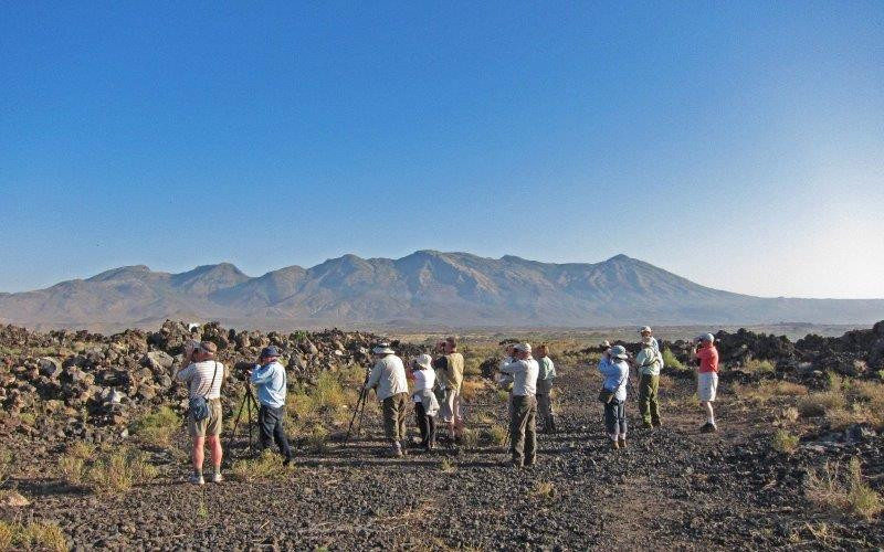 And dropping right down to the valley floor, we find ourselves in a hot, dry climate and spend time birding in the shadow on the long-extinct volcano, Fantale.