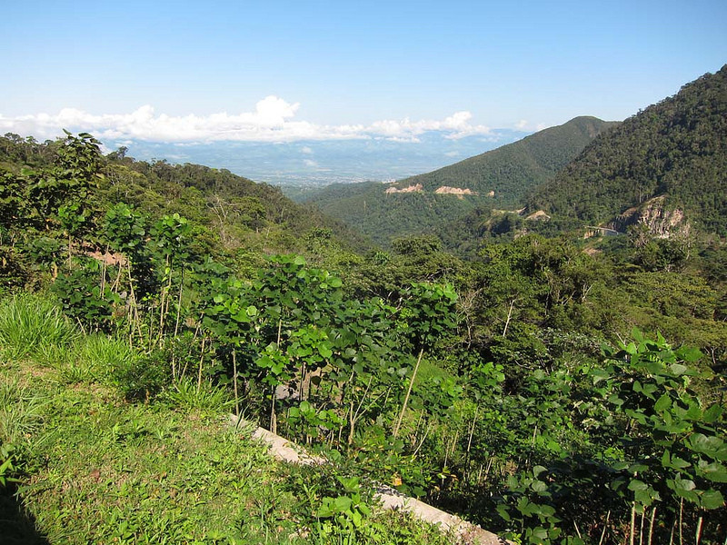 We’ll start near the town of Tarapoto, where an outlying ridge harbors healthy forest.