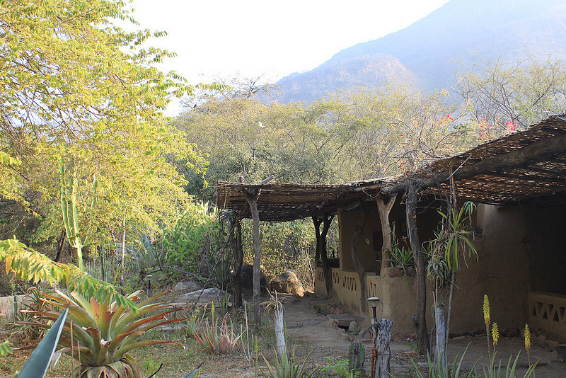 We’ll use several lodges located in the birding areas such as Chaparri…