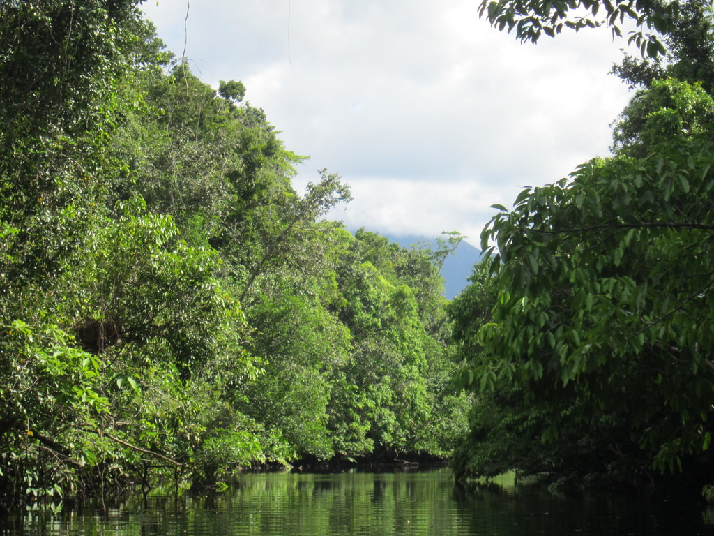 Moving down to the coast and the scenic Daintree River,