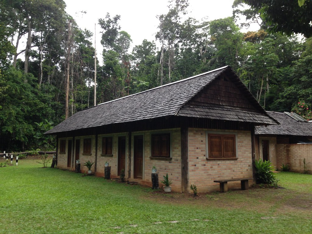 …a wonderful lodge located in the middle of the forest (Harpy Eagle has been seen in the garden more than once!!)