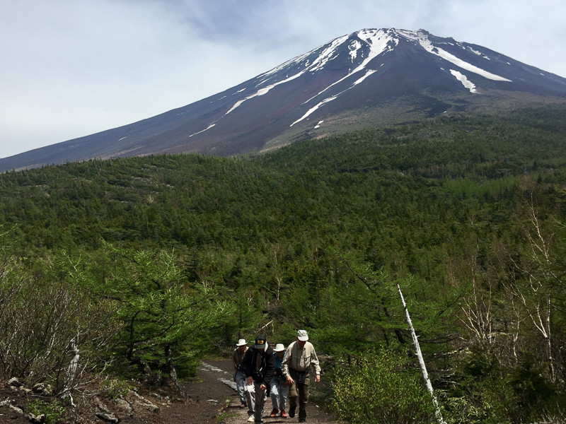 Mount Fuji, where the birding is fun but the mountain is the real star!