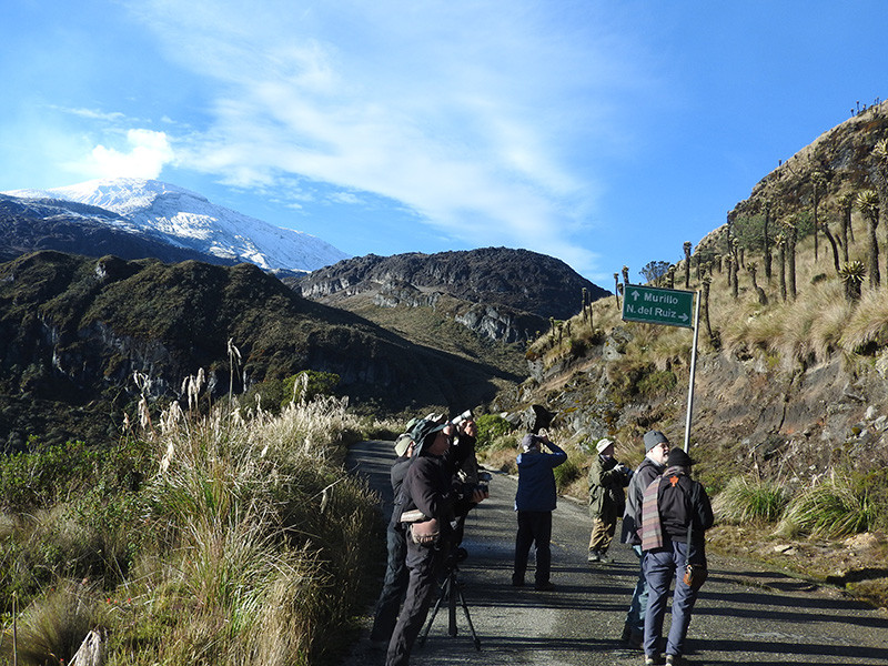 We’ll be birding in very diverse habitats, from high elevation paramo where temperature can be quite cold…
