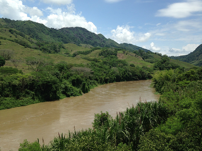 …and dry forest and agricultural fields in the Cauca valley.