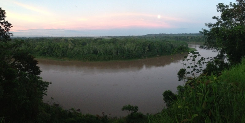 We’re in a jungle wilderness at both places; Los Amigos sits on a high bluff overlooking the Madre de Dios River.