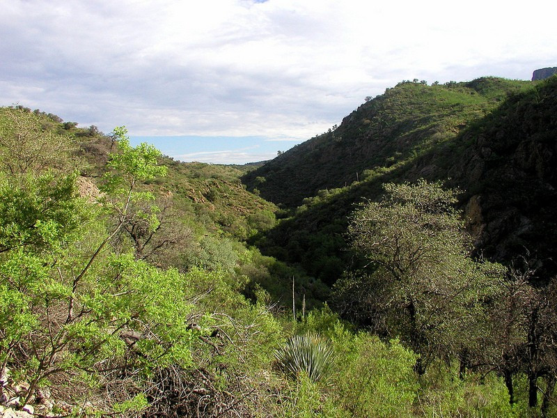 …to shallow canyons that reach to the Mexican border…
