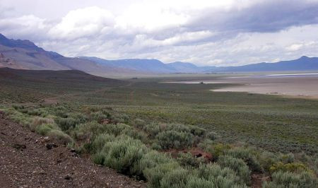 Much of the region is covered in dry sagebrush flats, home to Sage Sparrow and Sage Thrasher…