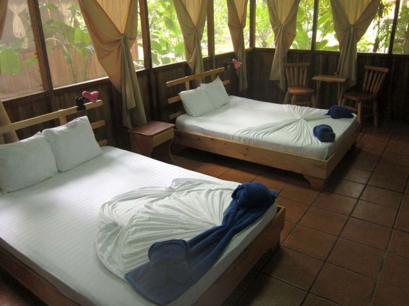 Our lodge in Tortuguero National Park features charming cabins amidst great birding habitat…