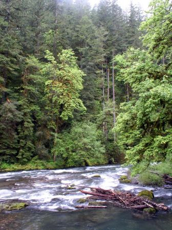 We’ll then drive over the Cascade Mountains, stopping at rushing mountain streams…