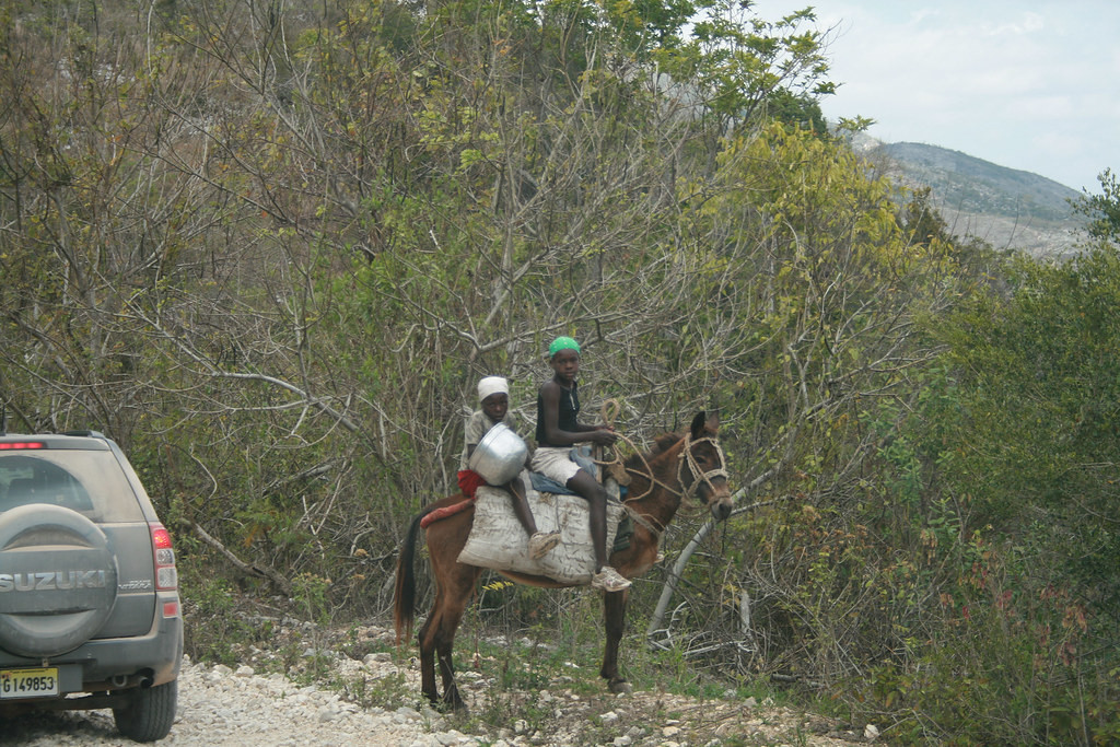 …and perhaps some roaming Haitian farmers.