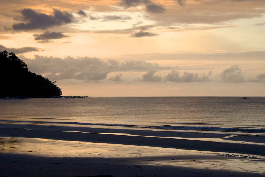 Each island’s scenery is as distinct as its avifauna: Morning on the beach at Palawan…