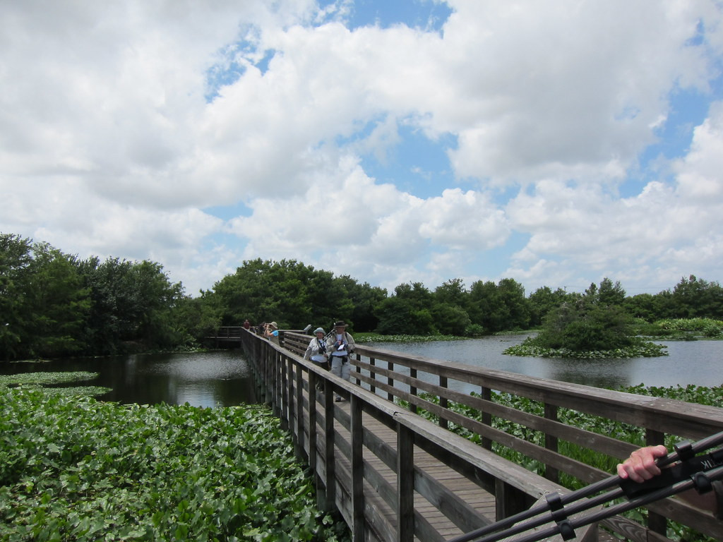 Florida is full of wetlands… 