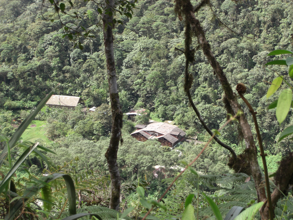 …our lodge, Septimo Paraiso, set in a valley amid lush primary cloud forest. (jf)
