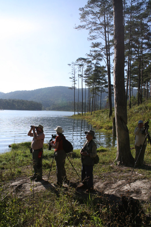 In the cooler climes of the Da Lat plateau, we’ll continue our birding