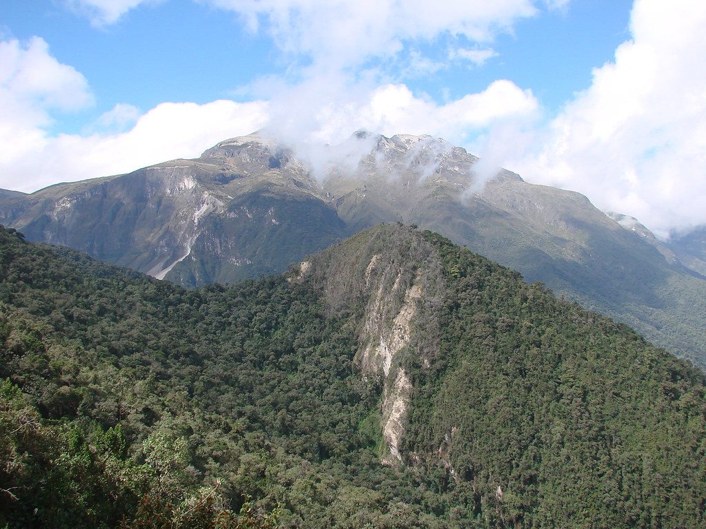On our first day we’ll bird near treeline at Yanacocha, in the shadow of Volcan Pichincha… (rw)