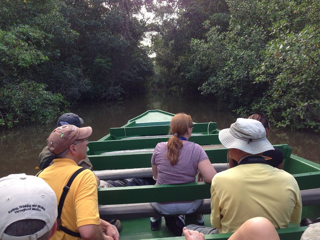 Boat through Caroni swamp (MB)