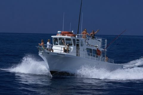 Our tour also offers a pelagic trip out of the Kona harbour