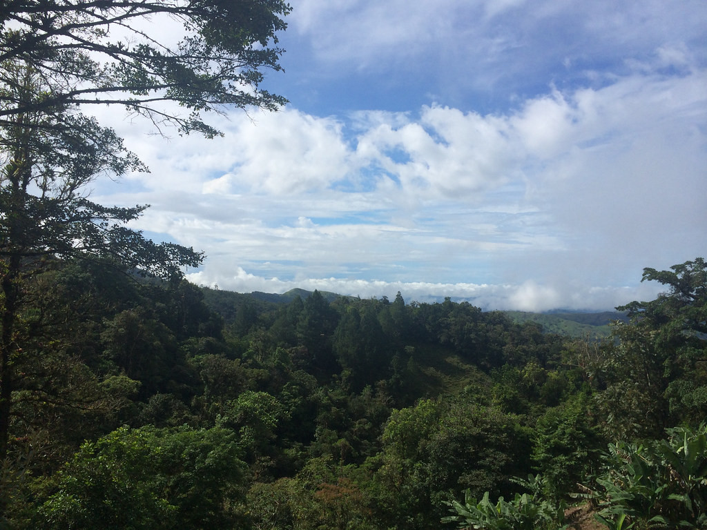 We’ll then move up into the verdant and comparatively cool highlands near the Costa Rican border…