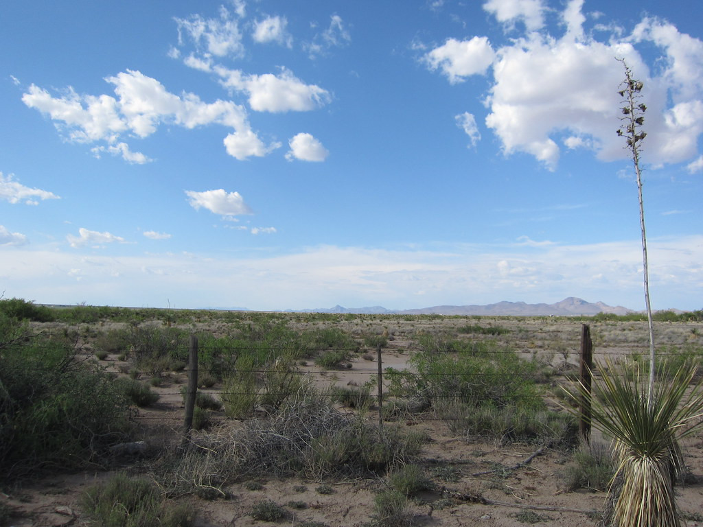 …which rise up from the arid Chihuahuan Desert should reveal…