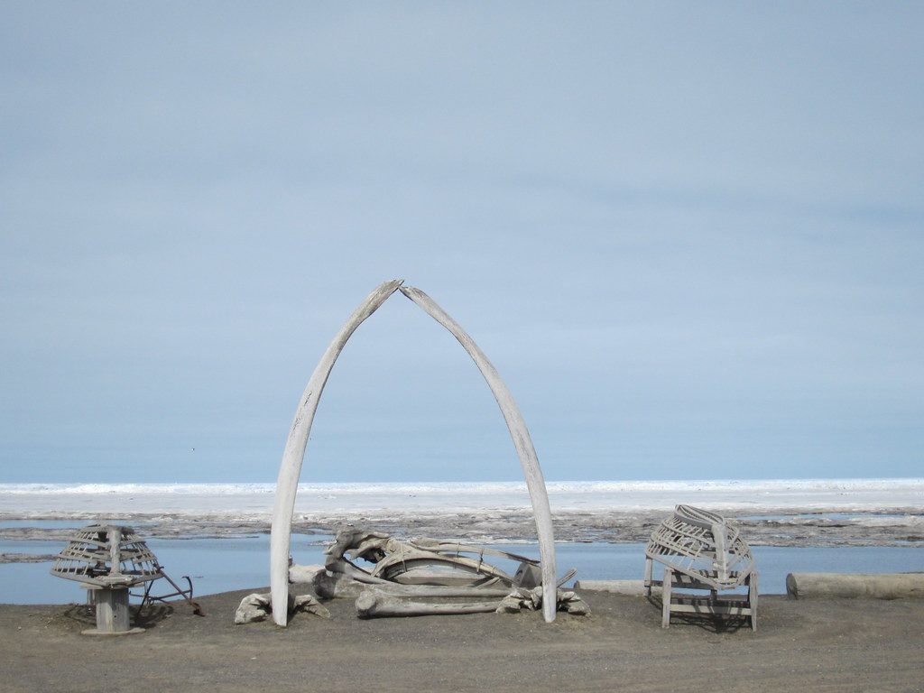 A post-tour extension to the high Arctic in Utqiagvik (formerly called Barrow)…