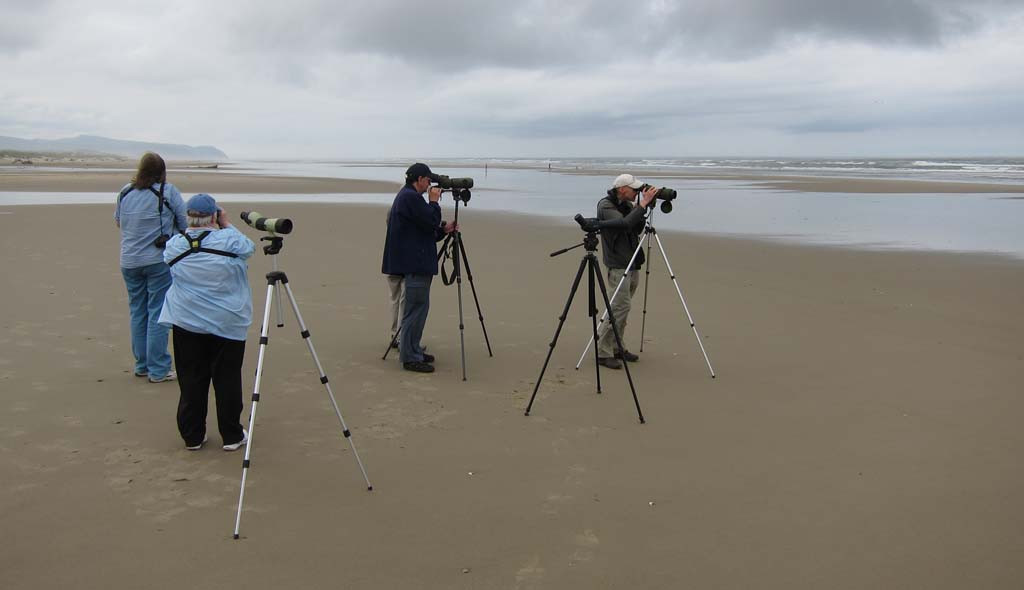…where we’ll look for birds on the beaches…
