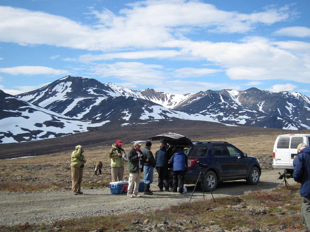 We’ll have picnic lunches in the tundra…