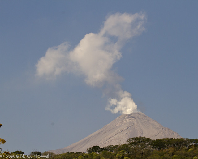 The slopes of the active Fuego Volcano provide some of the best birding on the tour.