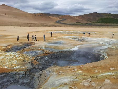 The geology of Iceland is almost as fascinating as its birds, such as these mud pools...