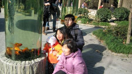 We'll fly back from our stay in Poyang Hu to Shanghai, where we'll have time to visit the marvelous Shanghai Zoo...