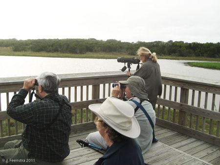 We&rsquo;ll often bird from platforms like the South Cape May Meadows, a freshwater marsh just over the dune from the Atlantic Ocean.