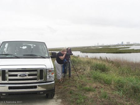 Some of our birding will also be from the van along access roads to coastal saltmarsh habitat&hellip;