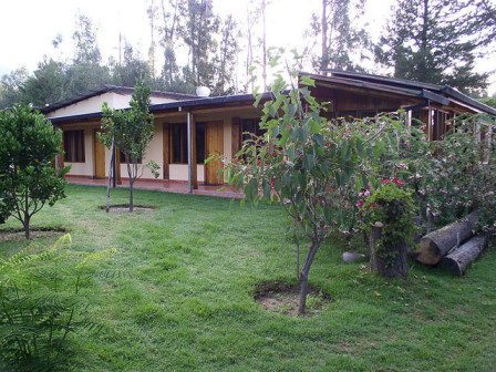 Our final hotel in the Cochabamba valley has lush gardens that attract many common birds. 