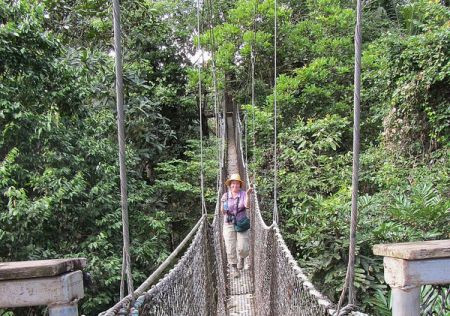... and even a canopy walkway.