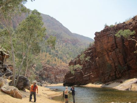 Then we'll head to the MacDonnell Ranges around Alice Springs, where outback waterholes...
