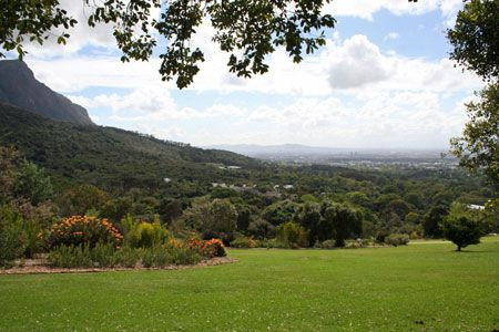 ...where our excursions will include a visit to the world-famous botanical gardens at Kirstenbosch...
