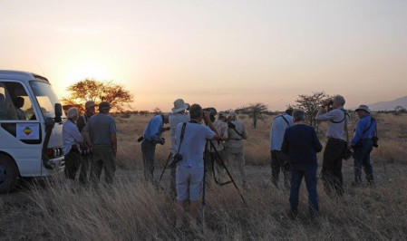 Nearby are the open savanna plains of Awash National Park, where our birding begins at dawn.