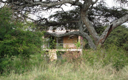 Our destination is a small lodge located in the bush close to Yabello.