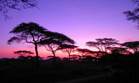 Dawn at Ndutu, one of the lodges we use in the Serengeti.