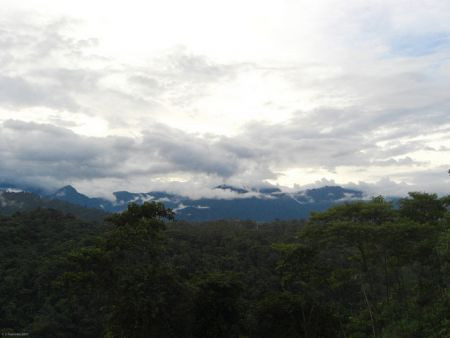 East from Cabanas San Isidro the Andes drop into the Amazon Basin through the altitudinal zones of hundreds of species of birds.