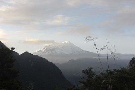 At tour's end, I suspect we'll all agree that the east Andes are great for birds and epic views alike.