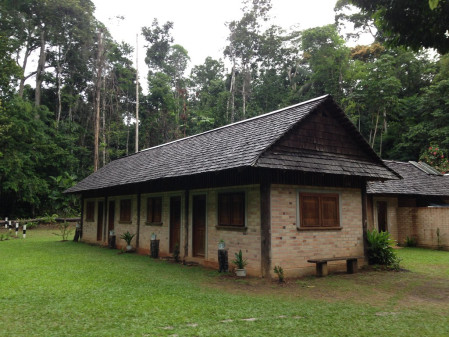 ...a wonderful lodge located in the middle of the forest (Harpy Eagle has been seen in the garden more than once!!)