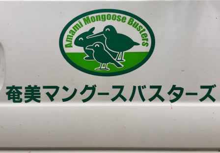 Many of the birds and small mammals of Japan are threatened by introduced mongoose but the Busters are after them.