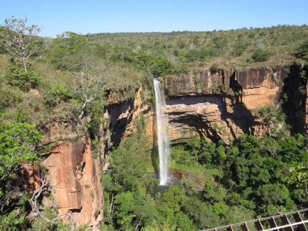 We begin in the Chapada dos Guimar&atilde;es, an area of spectacular scenery and intriguing bird life.