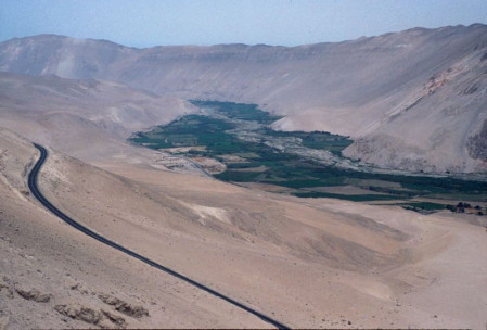 We'll end our tour in northern Chile, where the starkness of the Atacama Desert contrasts with lush irrigated valleys.