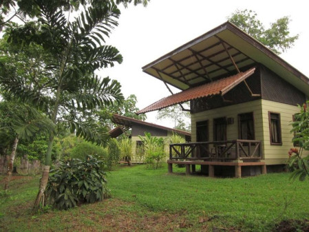  We&rsquo;ll spend time at another lowland rainforest lodge, this one farther inland... 