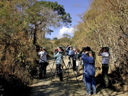 ...where birding in the wonderful montane forests we should find...