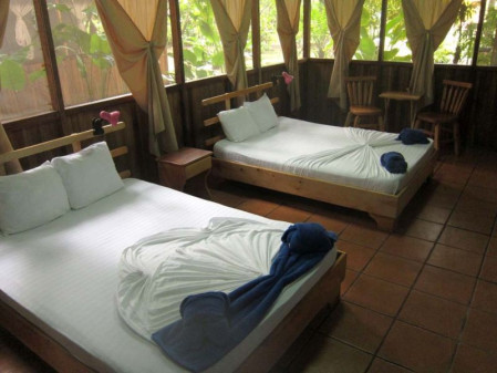 Our lodge in Tortuguero National Park features charming cabins amidst great birding habitat...