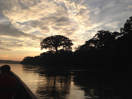 No matter what we see, it&rsquo;s always different, and simply being in the Amazon is an experience in itself. 