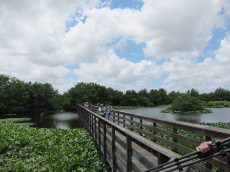 Florida is full of wetlands... 