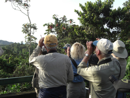 We&rsquo;ll also bird from a canopy tower in the lowlands at Rio Silanche Reserve&hellip;&rdquo; (jf)